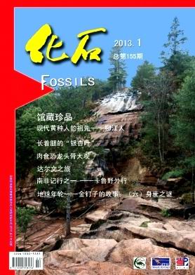 《化石》征集地质学、古生物学、进化生物学、古人类学、史前考古学以及涉及古生态、古环境领域的论文