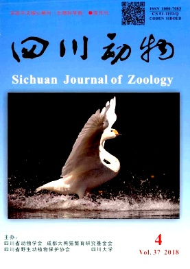 《四川动物》生物科学类双月刊
