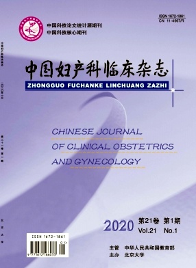 《中国妇产科临床杂志》