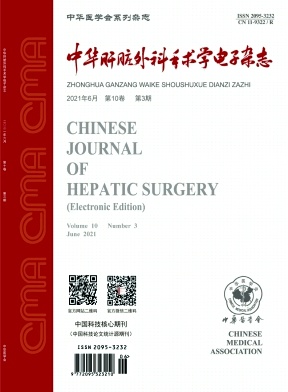 《中华肝脏外科手术学电子杂志》