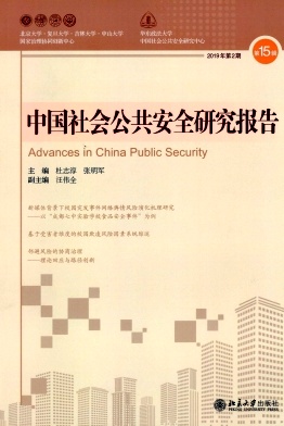 《中国社会公共安全研究报告》