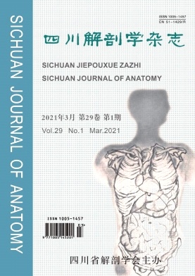 《四川解剖学杂志》