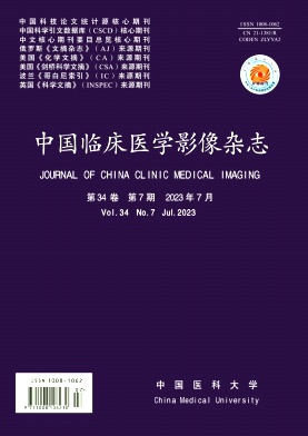 《中国临床医学影像杂志》月刊